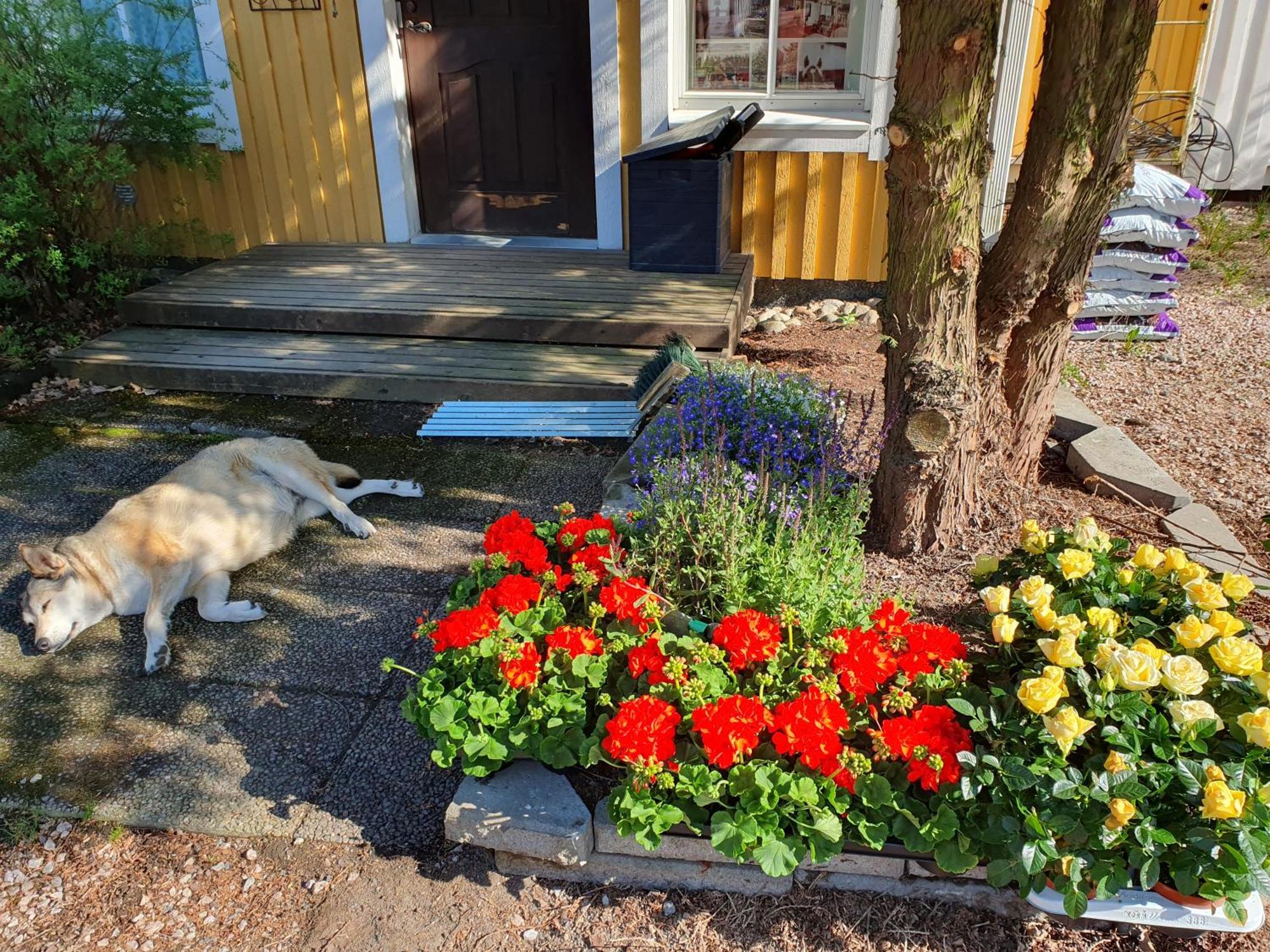 Siirilaen Tila Hostal Seinäjoki Exterior foto